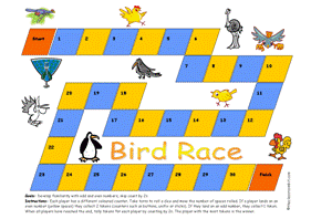 bird race
