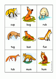 foxy cvc word card game