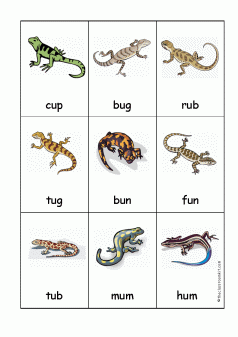 lizard card game cvc words